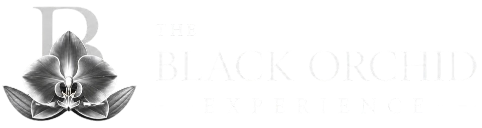 The-black-Experience
